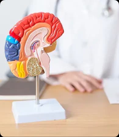 Neuro Sciences