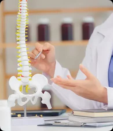 Orthopaedics