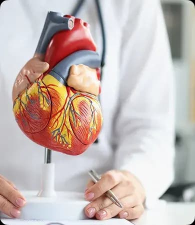 cardiac_sciences